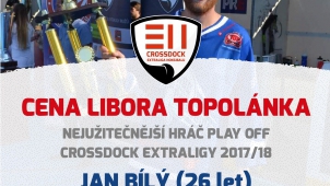 Zdroj www.hokejbal.cz