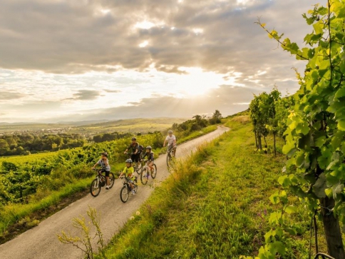 Kamptalradweg, foto © Niederoesterreich Werbung, Robert Herbst Kamptalradweg, foto © Niederoesterreich Werbung, Robert Herbst
