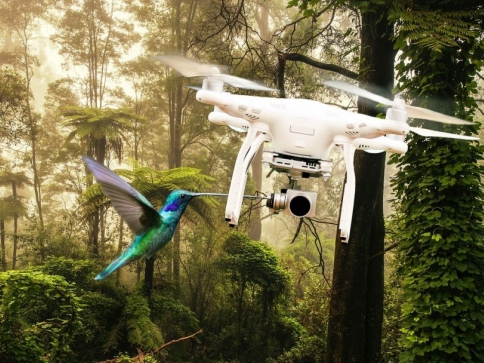 Fanoušci i odborníci míří na Silicon Valley Drone Show 2018, foto: pixabay.com ThomasWolter Fanoušci i odborníci míří na Silicon Valley Drone Show 2018, foto: pixabay.com ThomasWolter