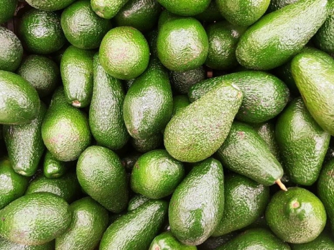Avokádo a tropické ovoce přednostně na veletrhu MACFRUT 2018 v italském Rimini, foto: pixabay.com Avokádo a tropické ovoce přednostně na veletrhu MACFRUT 2018 v italském Rimini, foto: pixabay.com