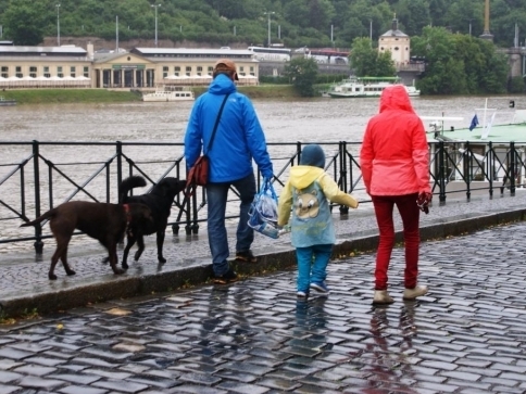 Pes se hlásí o slovo: „Já také trpím“, foto: Stanislava Nopová Pes se hlásí o slovo: „Já také trpím“, foto: Stanislava Nopová