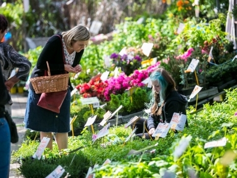 Nevynechejte slavnosti květin Floria v Kroměříži, foto: vystavistefloria.cz Nevynechejte slavnosti květin Floria v Kroměříži, foto: vystavistefloria.cz
