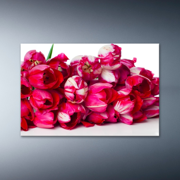 Kytice růžových tulipánů 60x40