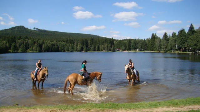 Milovníci koní mohou vyzkoušet své jezdecké schopnosti v nedaleké vesničce Blatiny, foto hotel Podlesí