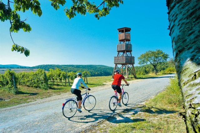 Cyklostezky vás přivedou k dobrému vínu na Východní Moravě, foto Vinařský fond, Východní Morava na kole