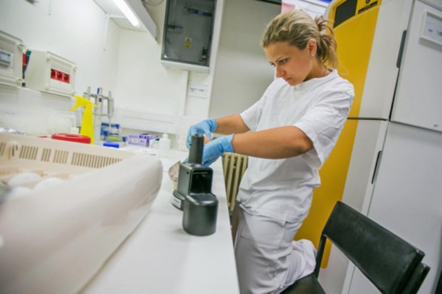 Vědecký tým Mendelovy univerzity vyvíjí nový diagnostický test. Ebolu rozpozná do půl hodiny. Foto MENDELU