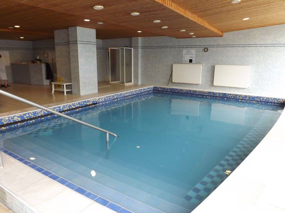 Hotel Aquamarin má vlastní termální pramen, který poskytuje výbornou léčivou vodu do dvou vnitřních bazénů. 