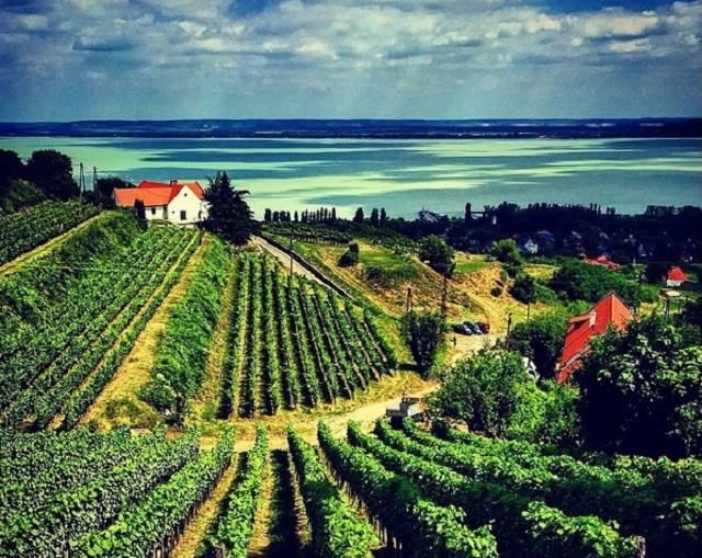 Mezi lákadly tohoto regionu patří hlavně vinařství. 