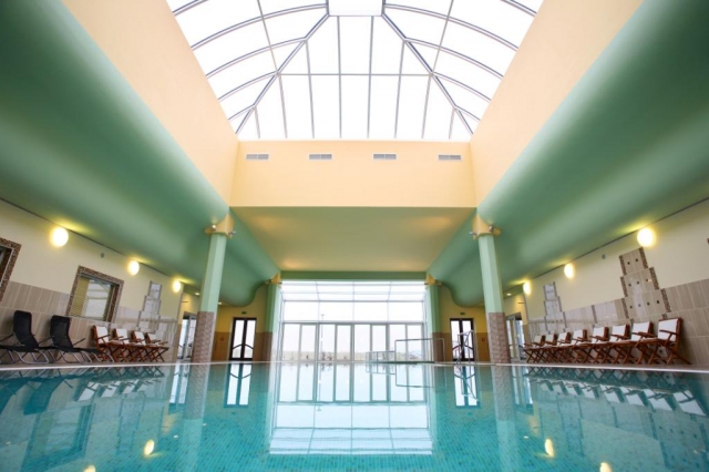 Wellness centrum hotelu Savannah se rozkládá na ploše 800 m2. Wellness centrum hotelu Savannah, do kterého je pro hotelové hosty vstup zdarma, vás nadchne svým plaveckým bazénem (22 x 8 m), saunou, parní lázní a kardiofitness centrem. 