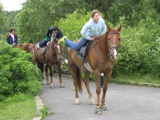 Na objednání zajistíme projížďky na koních po překrásném okolí, ostatní hosté mohou navštívit jízdárnu vzdálenou 8 km.