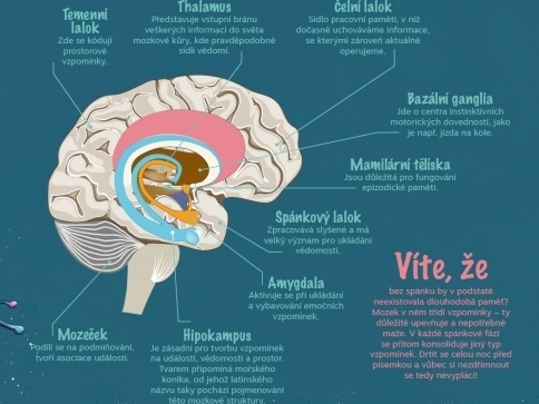Obrázek: AV ČR