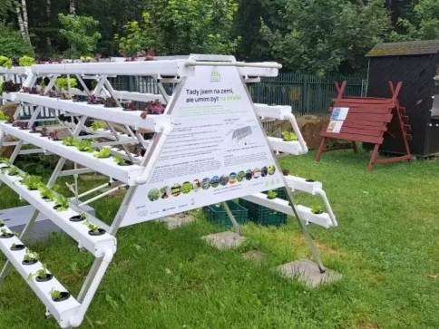 Saláty rostou bez půdy/ Zoo Liberec