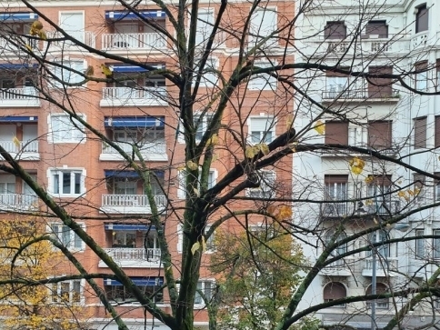 Byty/ilustrační foto: Stanislava Nopová Byty/ilustrační foto: Stanislava Nopová