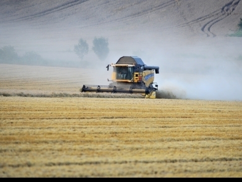 Ilustrační foto:MENDELU Ilustrační foto:MENDELU