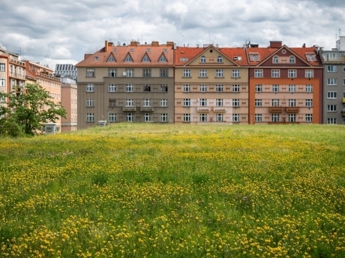 Rozkvetlá střecha vodojemu Flora Autor: Nadace Partnerství, Vojta Herout
