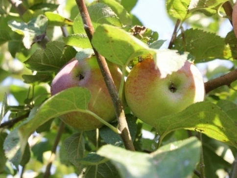 Ilustrační foto: Praha Press