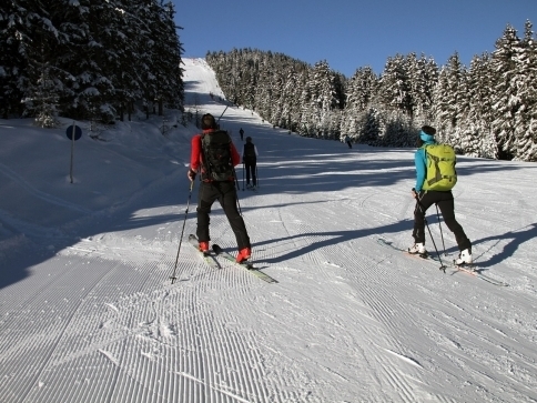 Pixabay/MonicaVolpin