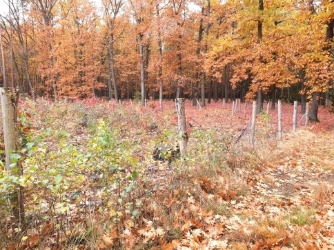 Ilustrační foto: Stanislava Nopová