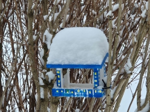 Ilustrační foto: Stanislava Nopová