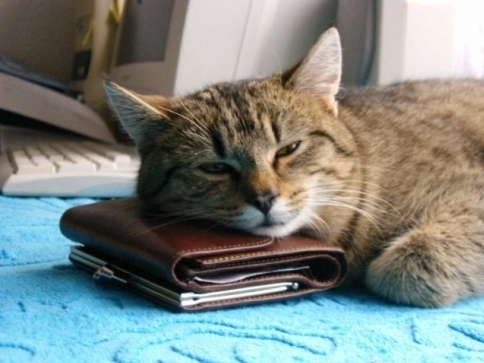 Ilustrační foto: Stanislava Nopová