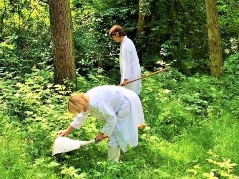 Foto: sběr klíšťat HSHMP