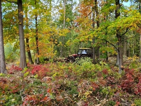 Ilustrační foto: Stanislava Nopová