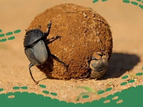 Den Země v Zoo Brno