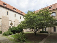 Zpřístupněné zahrady Anežského kláštera nabízí nový prohlídkový okruh. Foto Národní galerie