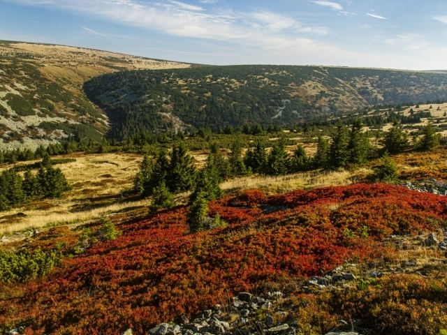 Údolí Bílého Labe/KRNAP