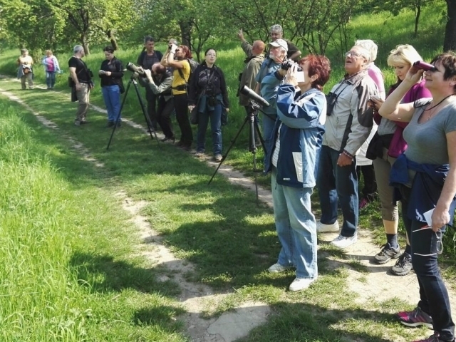 Pozorování ptáků je oblíbenou zálibou čím dál víc lidí a občanská věda mu dodává další rozměr. Foto: archiv ČSO.