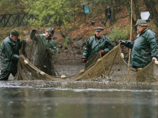 Začaly podzimní výlovy rybníků/lesypraha.cz