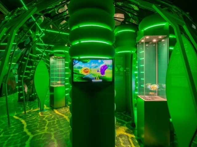 Výstava Fotosyntéza/NZM