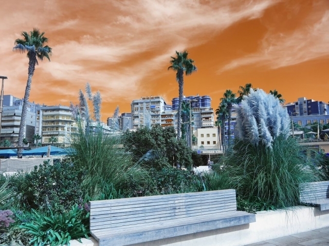 Málaga/ Stanislava Nopová