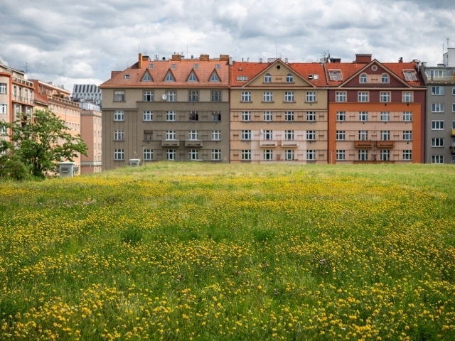 Rozkvetlá střecha vodojemu Flora Autor: Nadace Partnerství, Vojta Herout Rozkvetlá střecha vodojemu Flora Autor: Nadace Partnerství, Vojta Herout