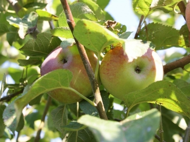 Ilustrační foto: Praha Press