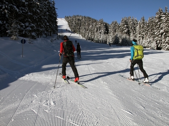 Pixabay/MonicaVolpin