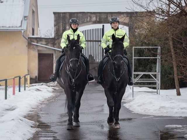 Strážníci budou po šestce častěji jezdit na koních/ ÚMČ Praha 6