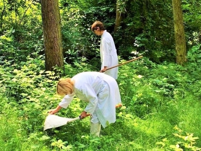 Foto: sběr klíšťat HSHMP