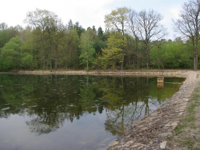 V Klánovickém lese se připravují dva rybníky ke sportovnímu rybaření, foto MHMP