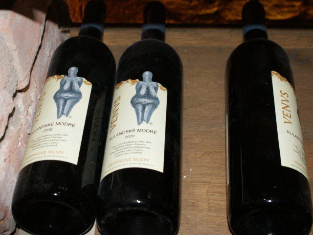 Vinohradské vinobraní nabídne produkty třiceti malých vinařství, foto Praha Press