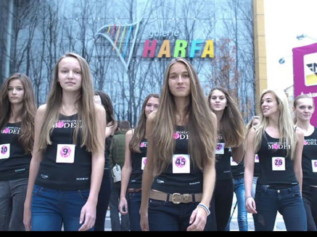 Galerie Harfa bude plná krásných dívek, foto Galerie Harfa ONYX GROUP