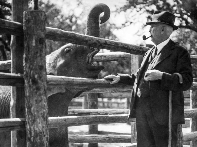Profesor Jiří Janda se slonem Babym, který přišel do pražské zoo v červenci 1933. Foto: Jiří Baum, Archiv Zoo Praha