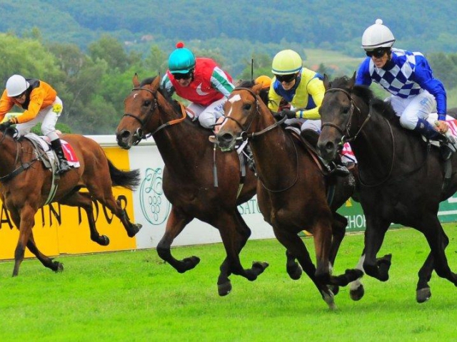 Královský sport nejrychlejších koní v Conseq Parku Velká Chuchle, foto TMM s.r.o.