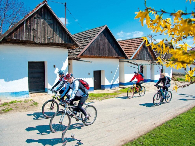Cyklostezky vás přivedou k dobrému vínu na Východní Moravě, foto Vinařský fond, Východní Morava na kole