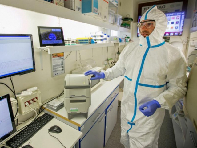 Vědecký tým Mendelovy univerzity vyvíjí nový diagnostický test. Ebolu rozpozná do půl hodiny. Foto MENDELU