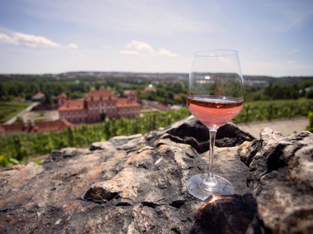 Udělejte si čas na degustaci vín z vinice sv. Kláry. Foto Botanická zahrada Praha