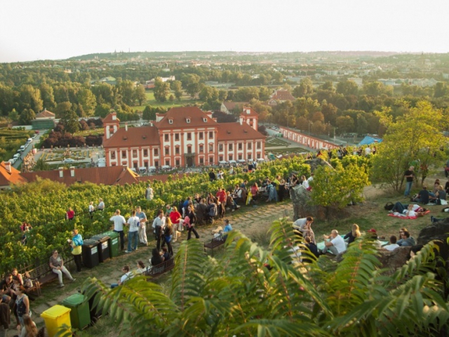 Vinobraní sv. Kláry bude opět v trojské botanické zahradě, foto Botanická zahrada