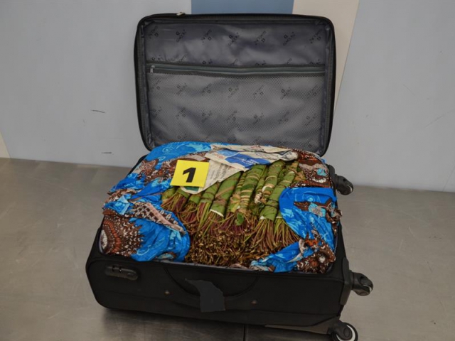 Kufry ukrývaly drogu, foto Celní úřad Praha Ruzyně