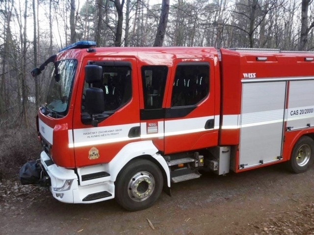 Pražští hasiči se školili v kácení nebezpečných stromů, foto: Lesy Praha