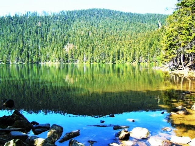 Zbytky původních lesů nejsou jen na území Národního parku Šumava, foto: Správa NP Šumava